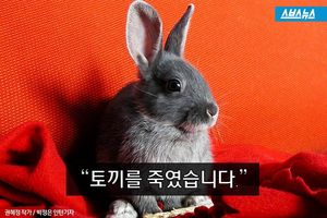 생방송에서 토끼 죽인 진행자&hellip;격렬한 논쟁