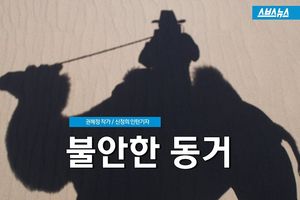 낙타는 '공공의 적? 중동서 '불안한 동거'