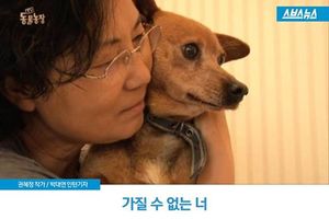 가질 수 없는 너