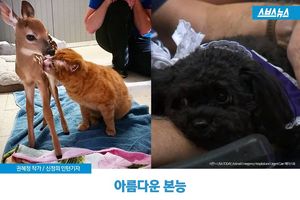 말 못 하는 동물이지만&hellip;아름다운 본능