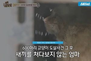 600마리 고양이 도살 사건, 그 후&hellip;