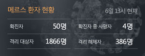 보건당국 "메르스 서울 대형병원서 2차유행&hellip;모레 정점"
