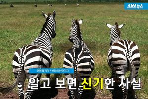 기상천외한 자연의 세계&hellip;우리가 몰랐던 사실들