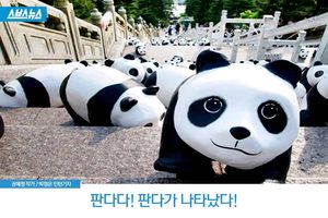 판다 1,600마리에는 슬픈 전설이&hellip;
