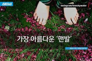 가장 아름다운 맨발