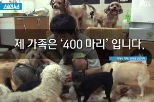 400마리 유기견과 함께 사는 아주머니