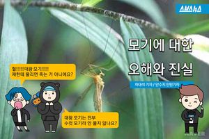 모기에 대한 오해와 진실