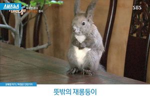 뜻밖의 재롱둥이
