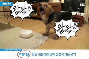 인정사정없이 짖어대는 개&hellip;3초 만에 진정시키는 묘약