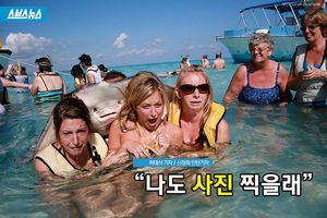 "나도 사진 찍을래"&hellip;'포토밤' 비하인드 스토리