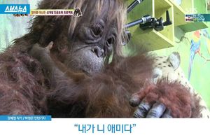 "내가 네 어미다"
