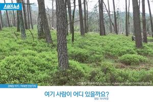 꼭꼭 숨어라? 이건 코미디가 아닙니다.