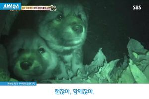 괜찮아, 함께잖아.