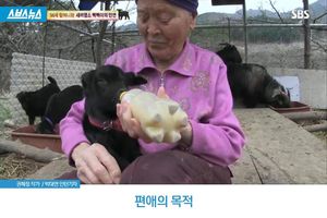 편애의 목적(?)