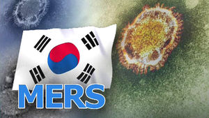 "'메르스 공황' 홍콩 여행객, 한국서 일본으로 발돌려"