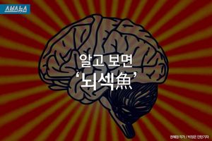 알고 보면 뇌가 섹시한 동물, '문어'