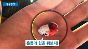[생생영상] 알을 깨고 나오는 푸른박새&hellip;뭉클한 부화 장면