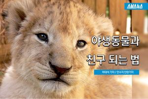 '진심 통한다면'&hellip;야생동물과 친구 되는 법
