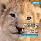 섬네일이미지  1: