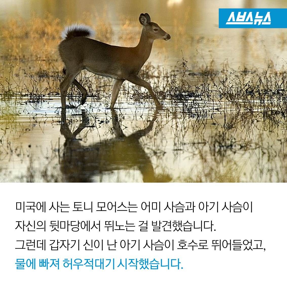 슬라이드 이미지 3