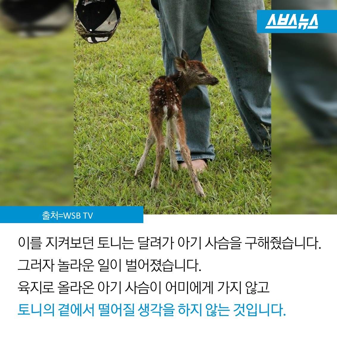 슬라이드 이미지 4