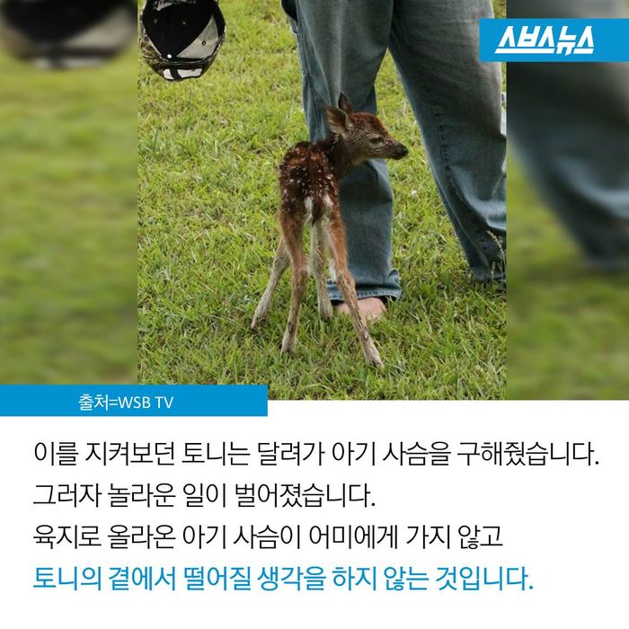 메인이미지  4 : 