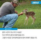 섬네일이미지  5: