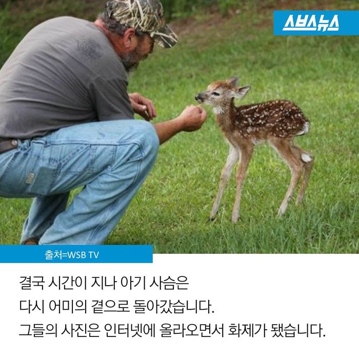 메인이미지  5 : 