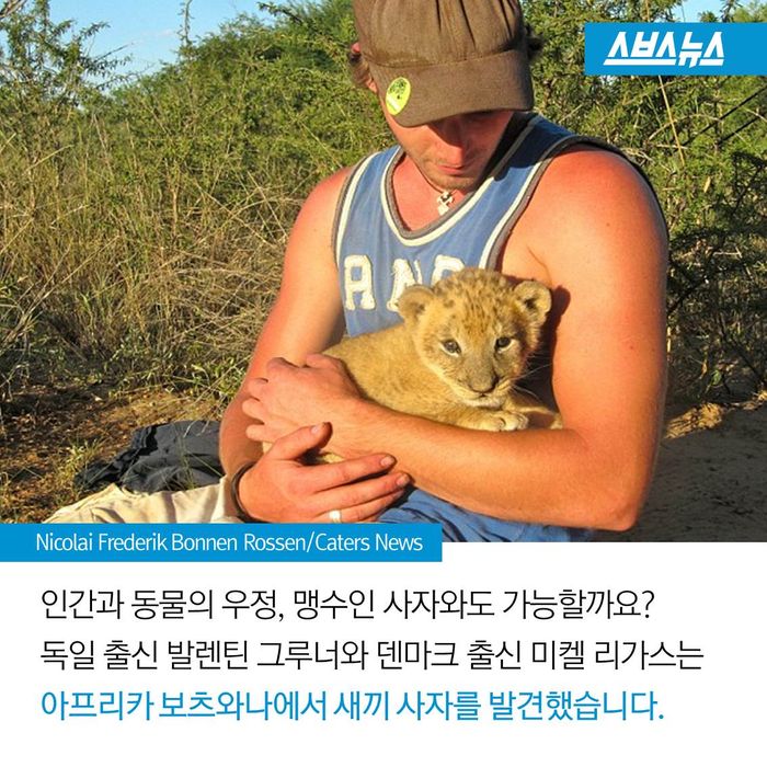 메인이미지  6 : 