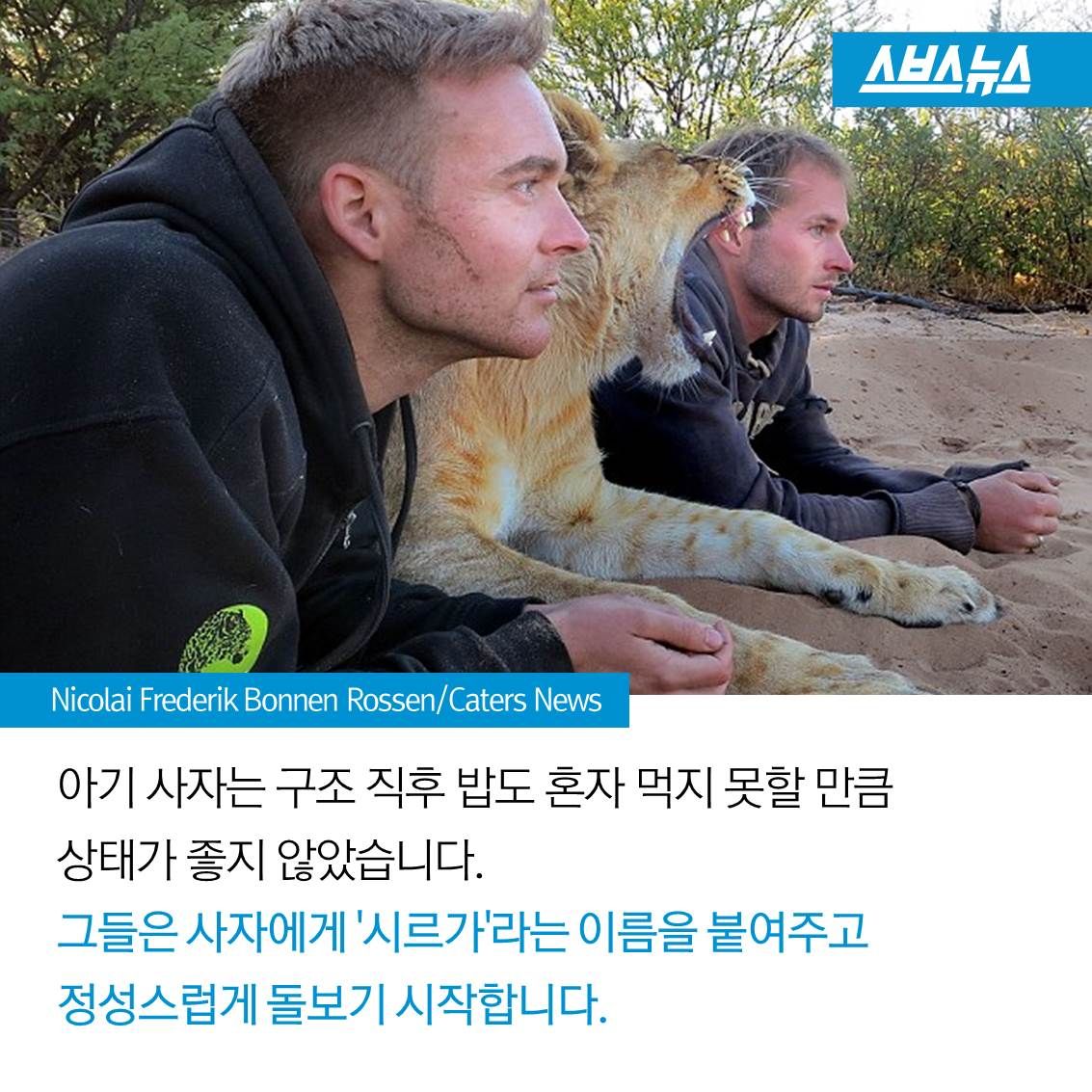 슬라이드 이미지 7