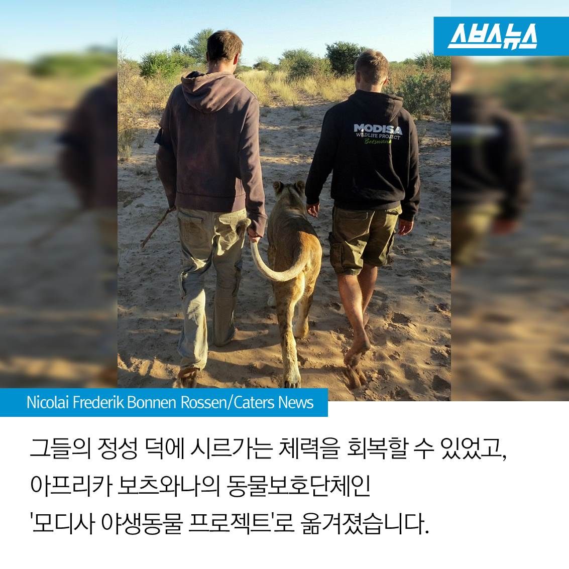 슬라이드 이미지 8