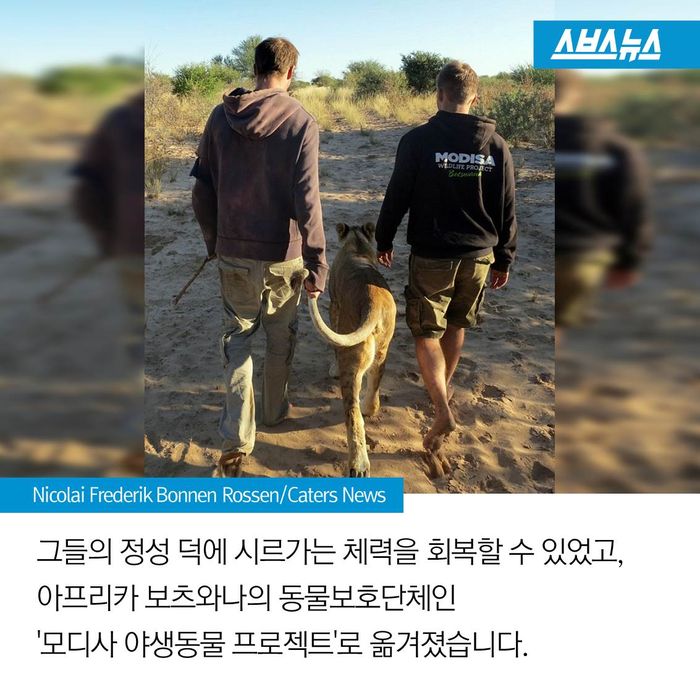메인이미지  8 : 
