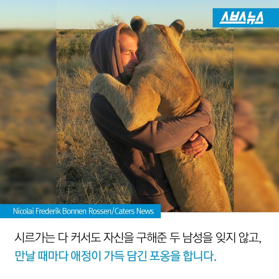 슬라이드 이미지 9