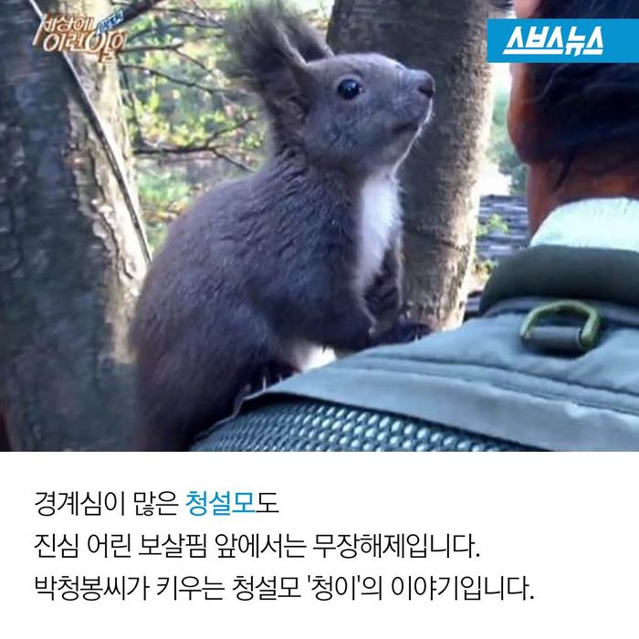 메인이미지  10 : 