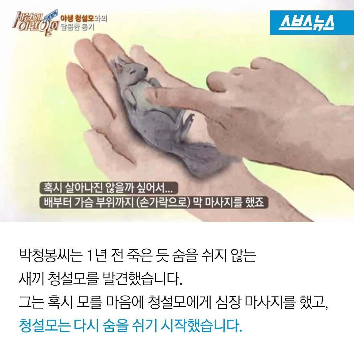슬라이드 이미지 11
