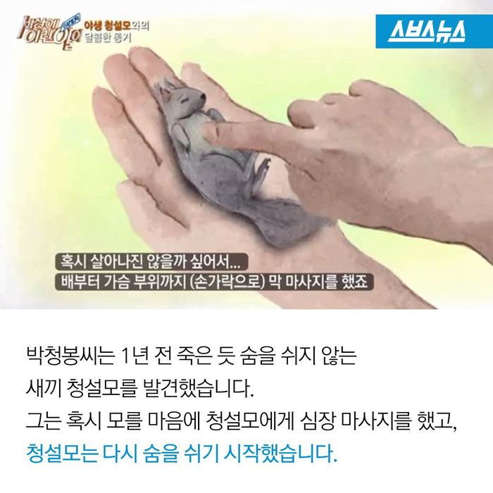 메인이미지  11 : 