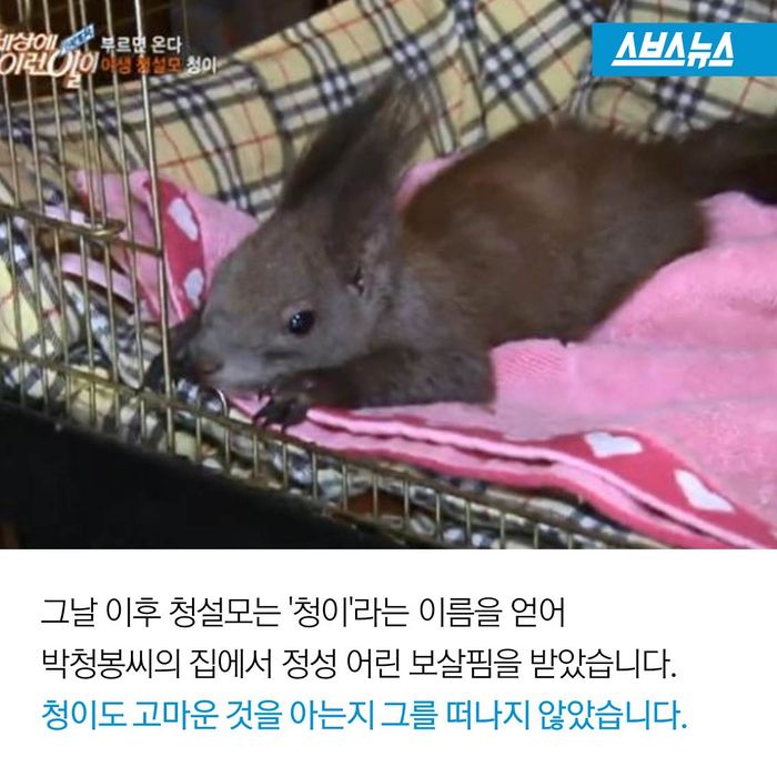 메인이미지  12 : 