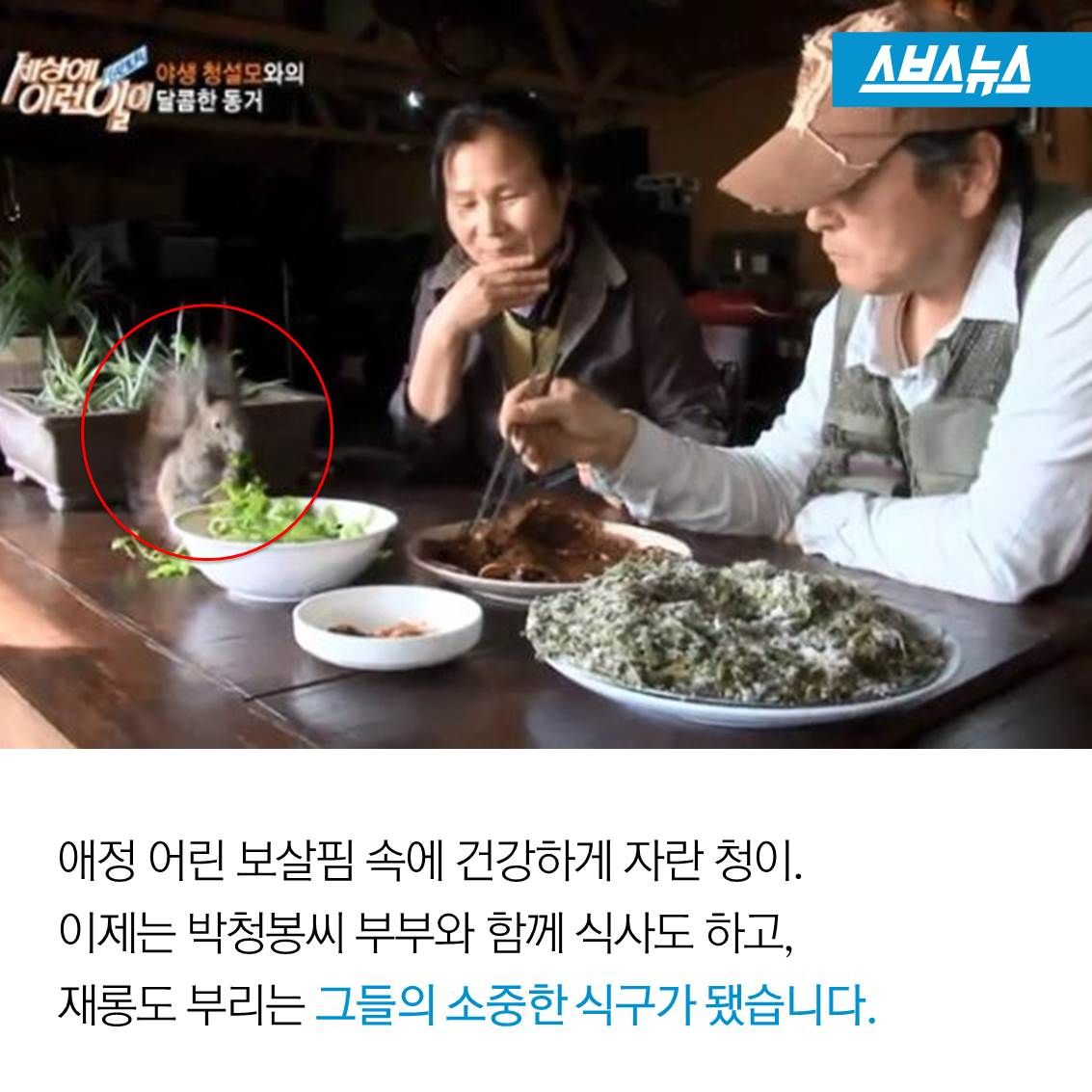 슬라이드 이미지 13
