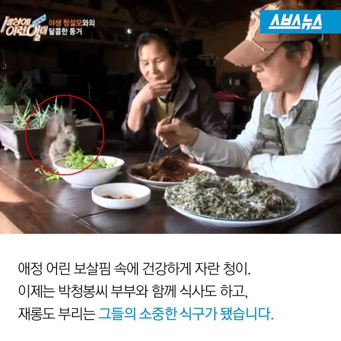 메인이미지  13 : 