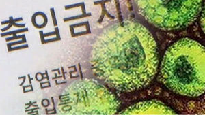 [취재파일플러스] 메르스가 보여준 한국의 불신 비용