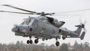 [취재파일] 합수단이 겨냥한 '와일드 캣'&hellip;"부실 무기 아니다"