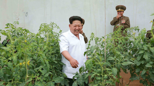 메인이미지  3 : 김정은 북한 국방위원회 제1위원장이 최근 고사포병 군관학교를 시찰했다고 조선중앙통신이 13일 보도했다.