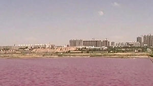 붉은 핏빛으로 물든 호수&hellip;무시무시한 현상 포착