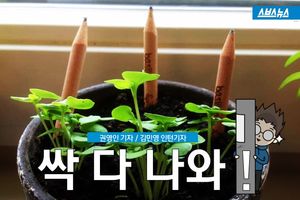 씨앗이 숨겨진 연필과 책, 자원재순환의 좋은 예