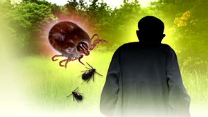 메르스 엎친 데 '야생 진드기' 덮쳐&hellip;긴장