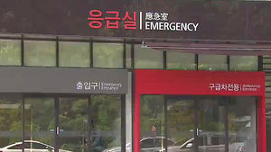 [취재파일플러스] 삼성서울병원 '응급실 체류' 29명의 모호한 정체