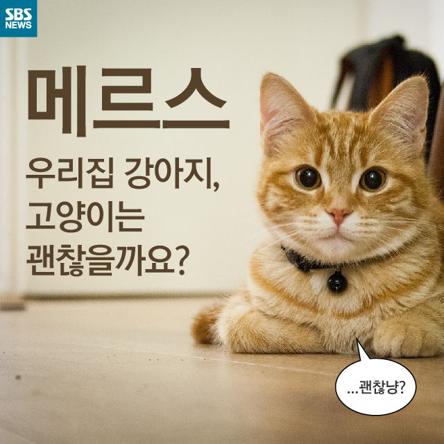 메인이미지  1 : 