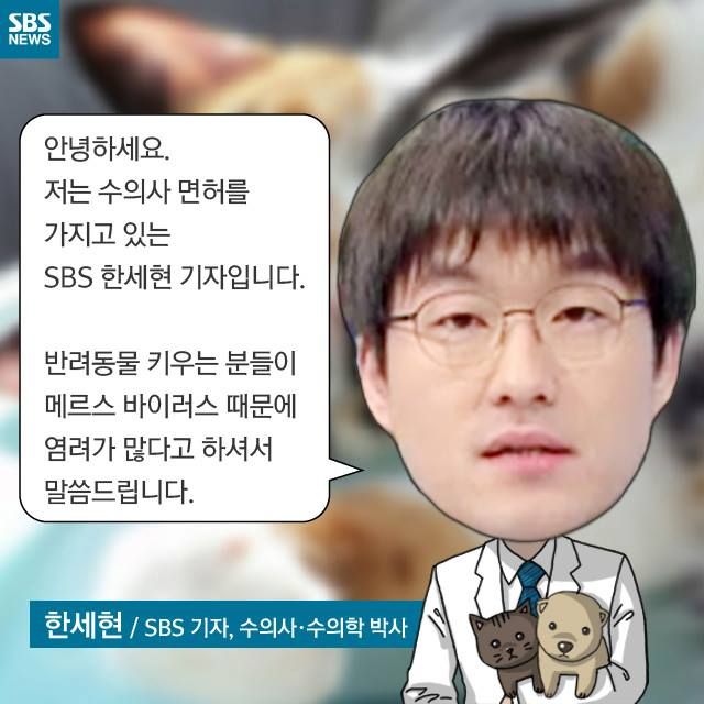 메인이미지  2 : 