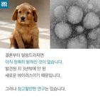 섬네일이미지  4: