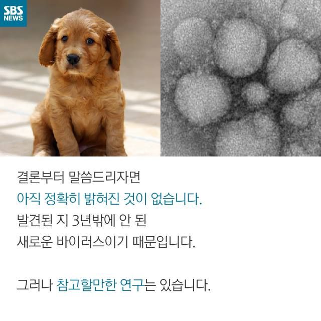 메인이미지  4 : 